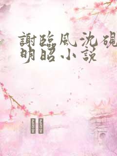 谢临风沈砚卿梁明昭小说