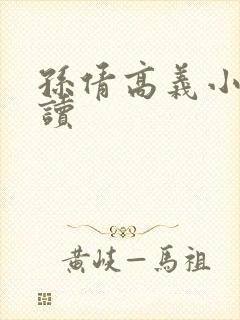 孙倩高义小说阅读