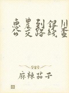 惠农到银川城际公交路线查询