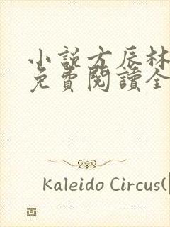 小说方辰林雪妍免费阅读全文