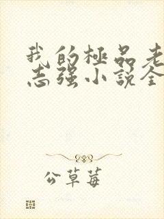 我的极品老婆方志强小说全文免费阅读