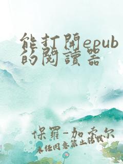 能打开epub的阅读器