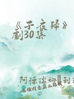 《子夜归》电视剧30集