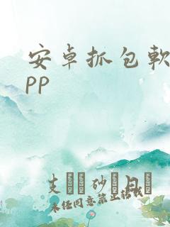 安卓抓包软件app