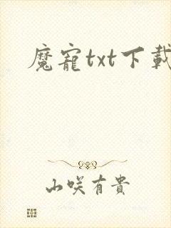 魔宠txt下载