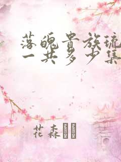 落魄贵族琉璃川一共多少集