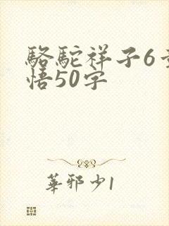 骆驼祥子6章感悟50字