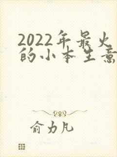 2022年最火的小本生意