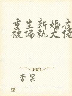 重生新婚夜,我被偏执大佬亲疯了