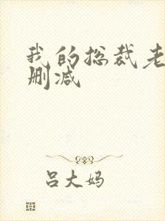 我的总裁老妈未删减