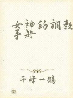 女神的调教攻略手册