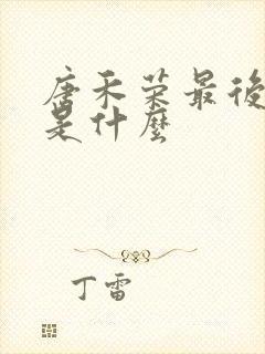 唐禾荣最后结局是什么