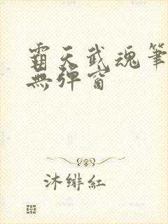 霸天武魂笔趣阁无弹窗