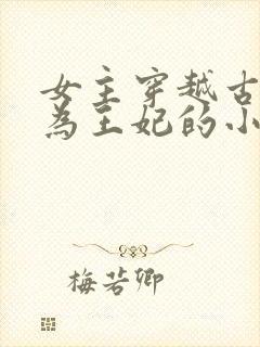 女主穿越古代成为王妃的小说