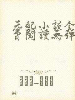 元配小说全文免费阅读无弹窗