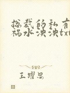 总裁的私有宝贝祸水泱泱txt下载