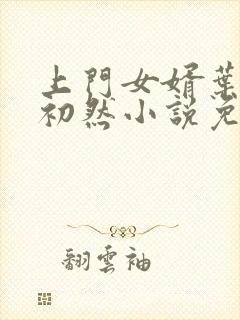 上门女婿叶辰萧初然小说免费阅读无弹窗