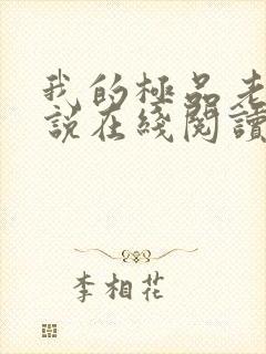 我的极品老婆小说在线阅读