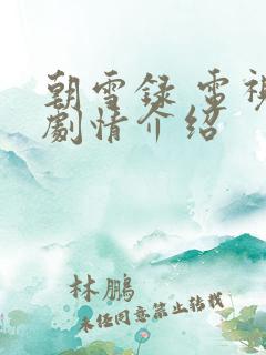 朝雪录 电视剧剧情介绍