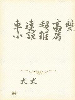 车速超高双男主小说推荐