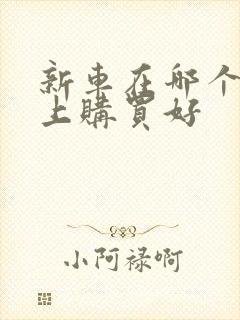 新车在哪个网站上购买好