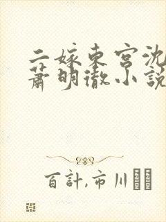 二嫁东宫沈雨燃萧明彻小说免费阅读全文
