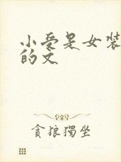 小受是女装大佬的文