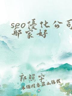 seo优化公司哪家好