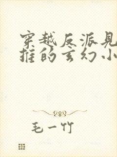 穿越反派见女就推的玄幻小说