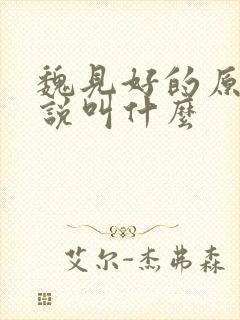 魏见好的原著小说叫什么