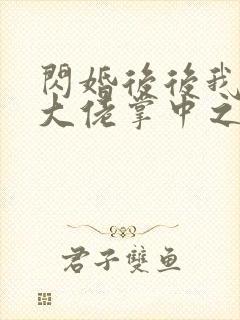 闪婚后后我成了大佬掌中之物