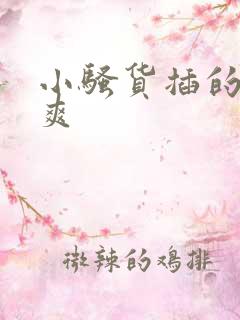 小骚货插的爽不爽