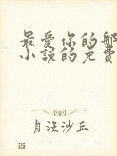 最爱你的那十年小说的免费阅读