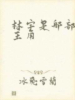 林宇是哪部小说主角