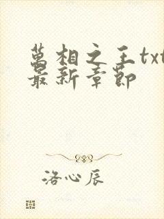 万相之王txt最新章节