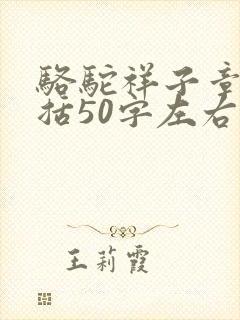 骆驼祥子章节概括50字左右