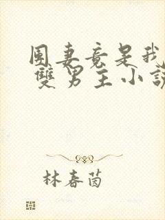 团妻竟是我自己 双男主小说