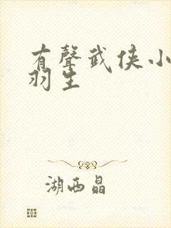 有声武侠小说梁羽生