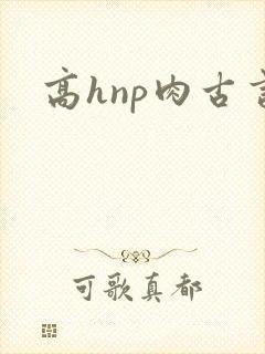 高hnp肉古言