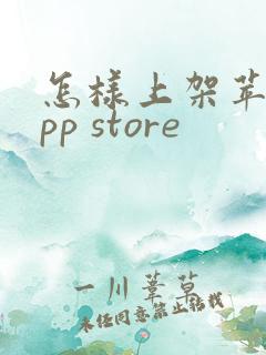 怎样上架苹果app store