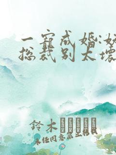 一宠成婚:妖孽总裁别太坏