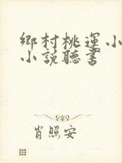 乡村桃运小神医小说听书