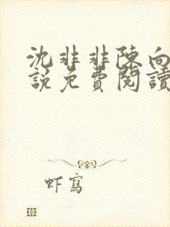 沈非非陈向斌小说免费阅读无弹窗