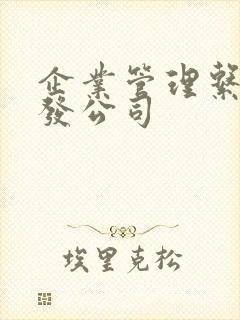 企业管理系统开发公司