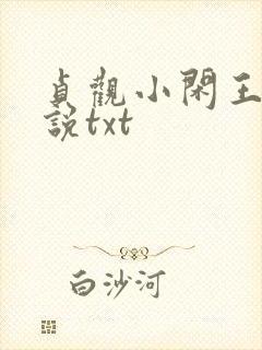 贞观小闲王 小说txt