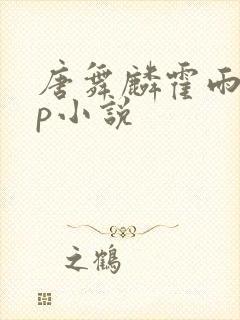 唐舞麟霍雨浩cp小说