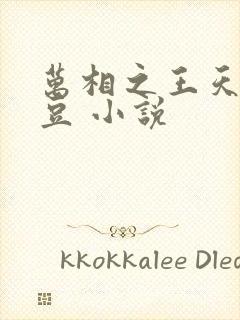 万相之王天蚕土豆 小说