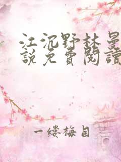 江沉野林曼琪小说免费阅读最新章节