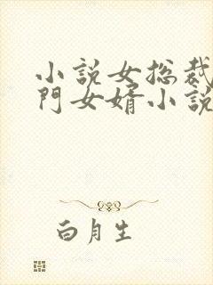 小说女总裁的上门女婿小说