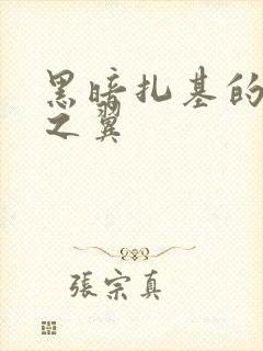 黑暗扎基的扎基之翼